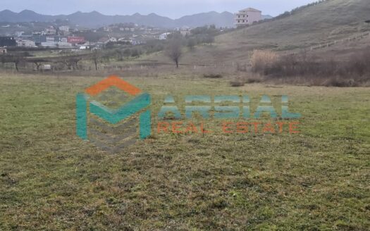 Shitet 12000 truall dhe toke me 30 euro/m2 ne Berxulle, Tirane