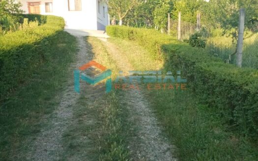 Shitet Vilë dhe Truall, Kashar Tiranë