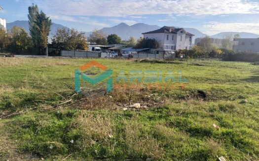 Shitet 4000m2 truall prane Top Channel me 100euro/m2