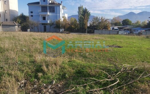 Shitet 4000m2 truall prane Top Channel me 100euro/m2