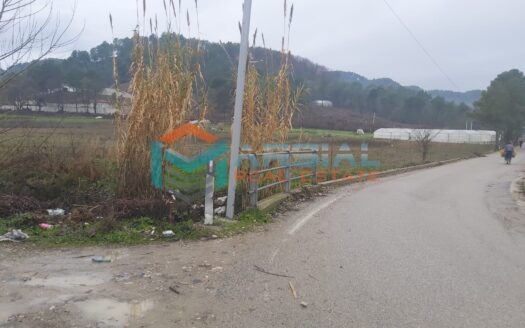 Shitet nje truall 2000m2 ne Prush me 60euro/m2