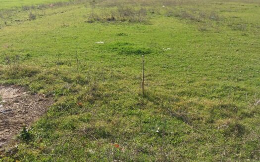 Okazion: Shitet 5988m2 truall Industrial prane TOP CHANNEL me 75euro/m2