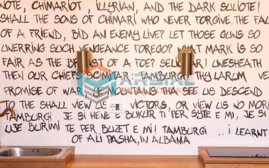 Apartament me Qira, 2+1, Qender Tiranë