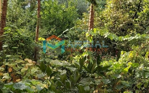 Jepet me qira kati trete i nje vile prane Qytetit Studenti