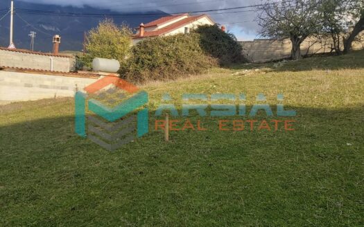 Shitet 5000m2 prane Rrethrrotullimit te Farkes ne Unazen e Madhe